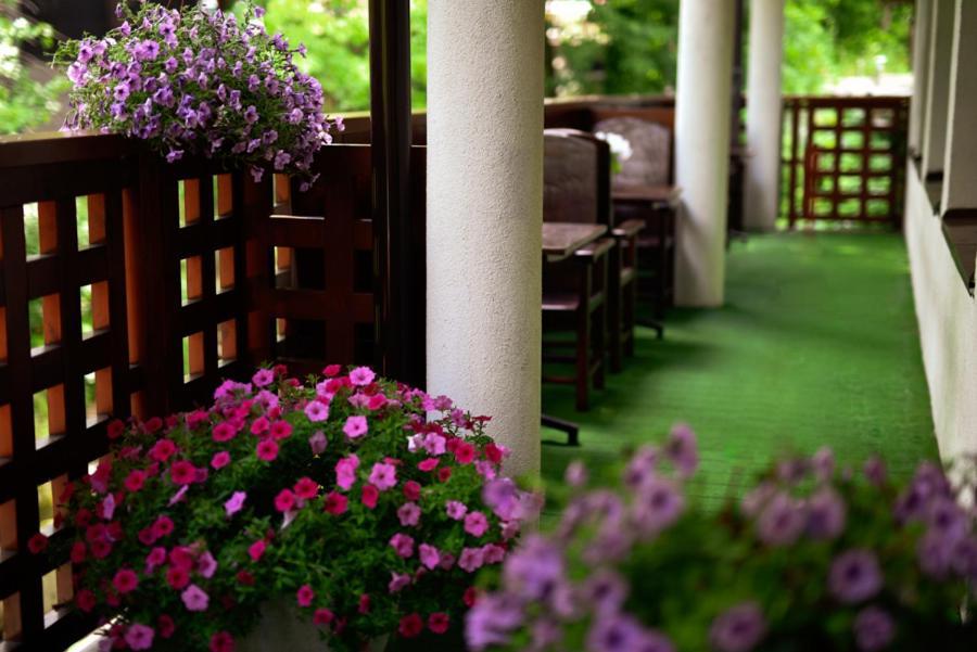 Hotel Promyk Wellness & Spa Karpacz Exterior foto